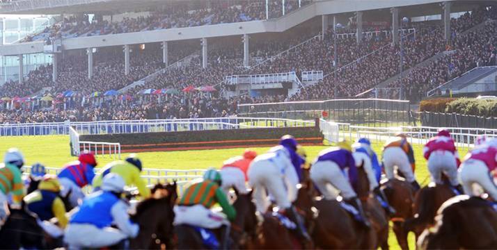 Carreras de caballos en hipódromo de Irlanda Carreras de caballos en hipódromo de Irlanda