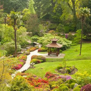 Jardín japonés de Powerscourt