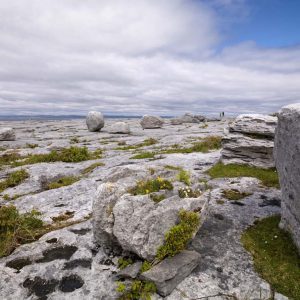 The Burren