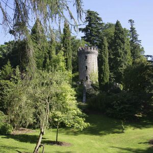 torre de Powerscourt