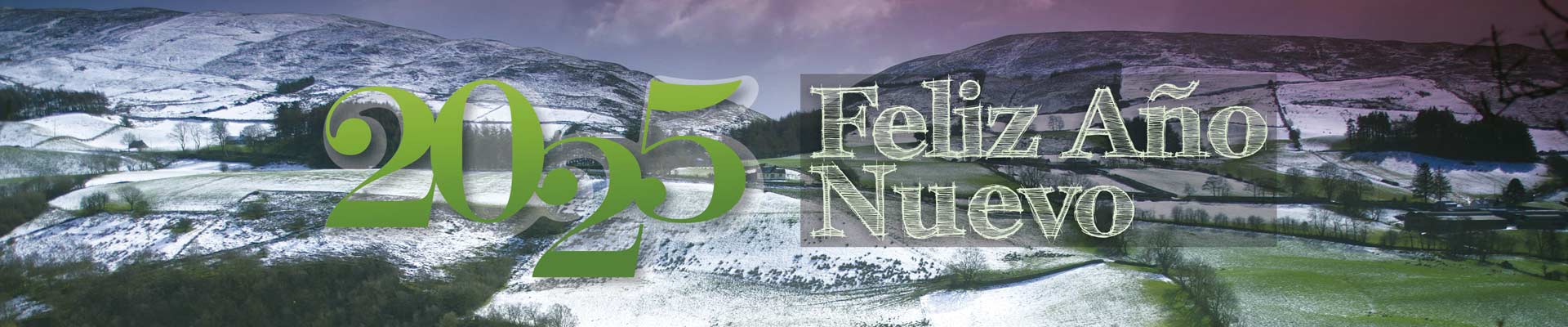 Feliz 2025 Irlanda en Español